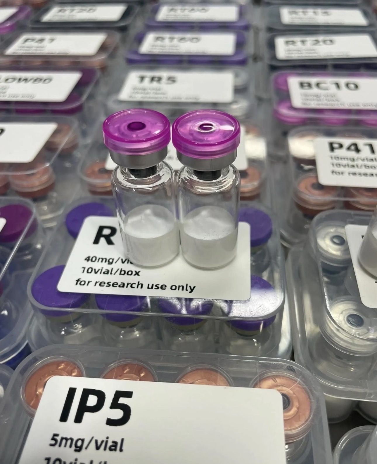 Close-up of research peptide vials with pink stoppers on labeled trays.