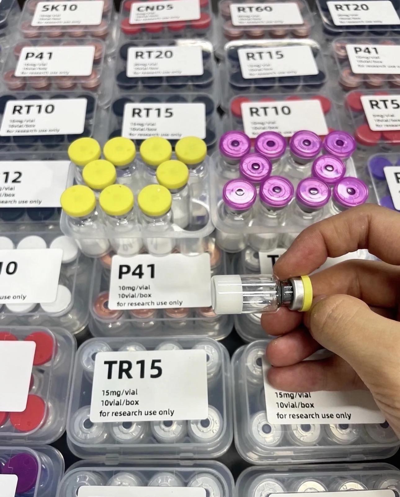 Hand inspecting a vial of freeze-dried peptide powder above labeled trays.